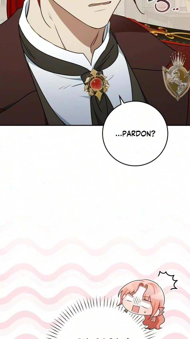 My Husband Was Stolen Twice chapter 56 page 45