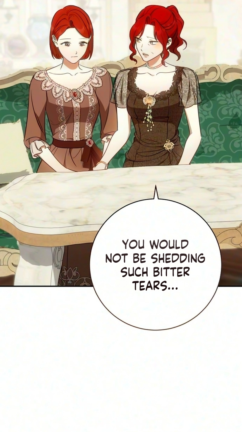 My Husband Was Stolen Twice chapter 58 page 47