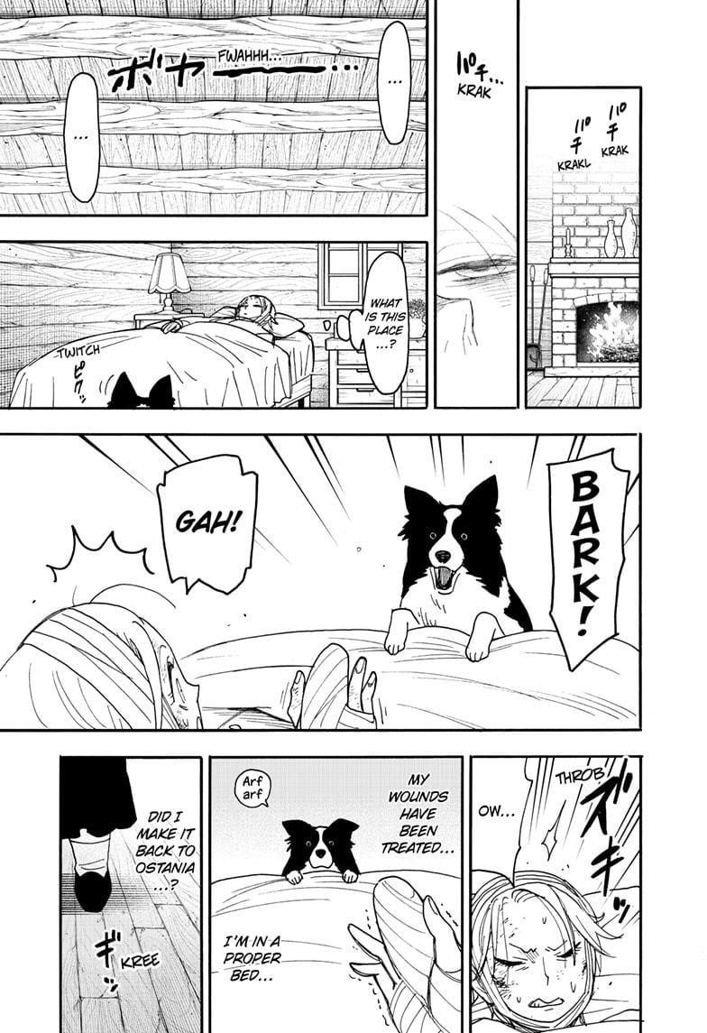Spy X Family chapter 100 page 7