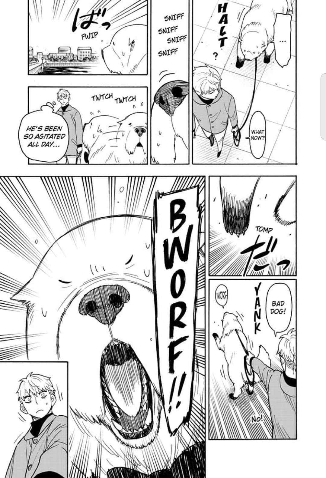 Spy X Family chapter 58.1 page 13