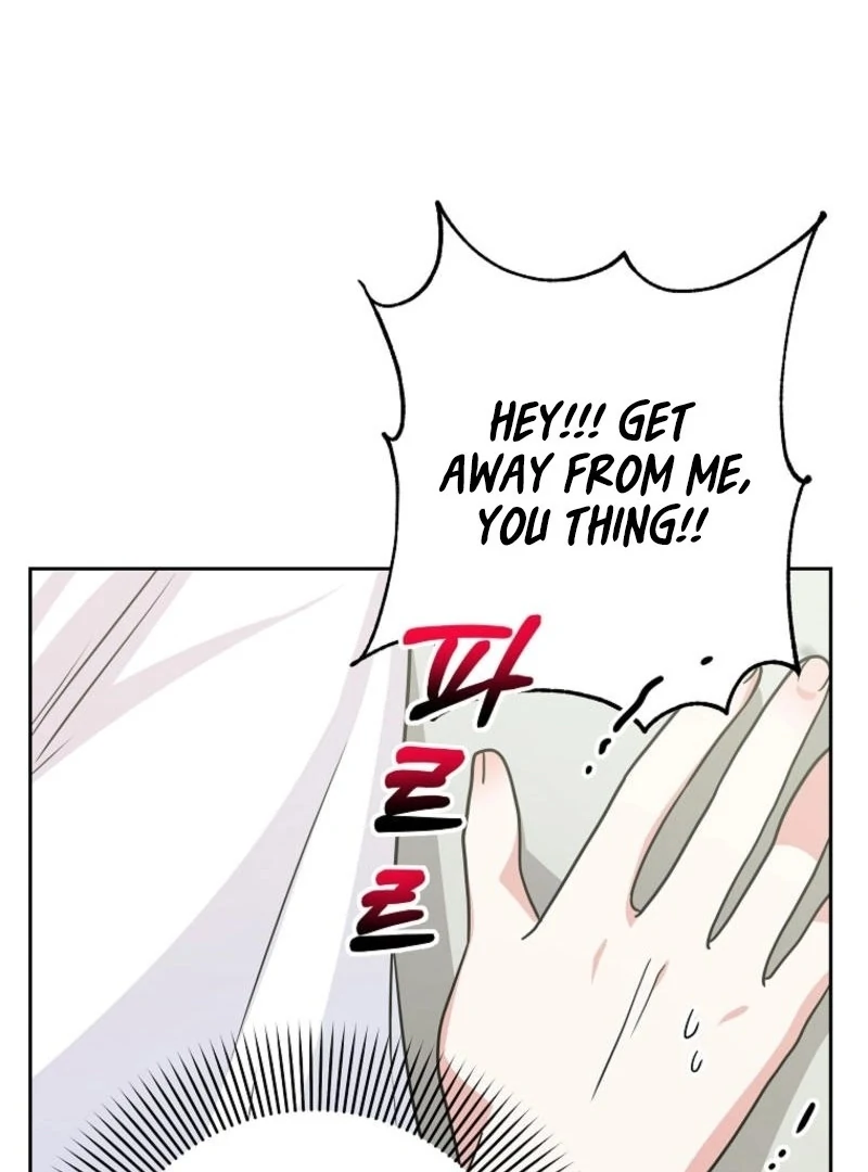 8470 Won for a Kiss chapter 2 page 8