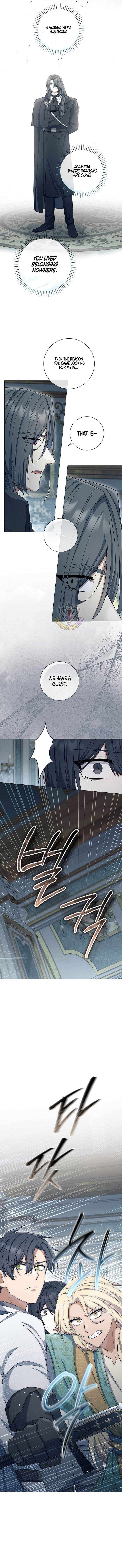 Magic Lord chapter 46 page 8
