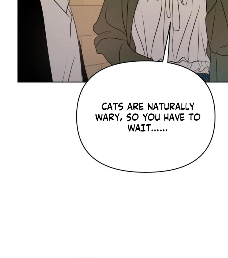 I Want To Be Fooled chapter 21 page 46