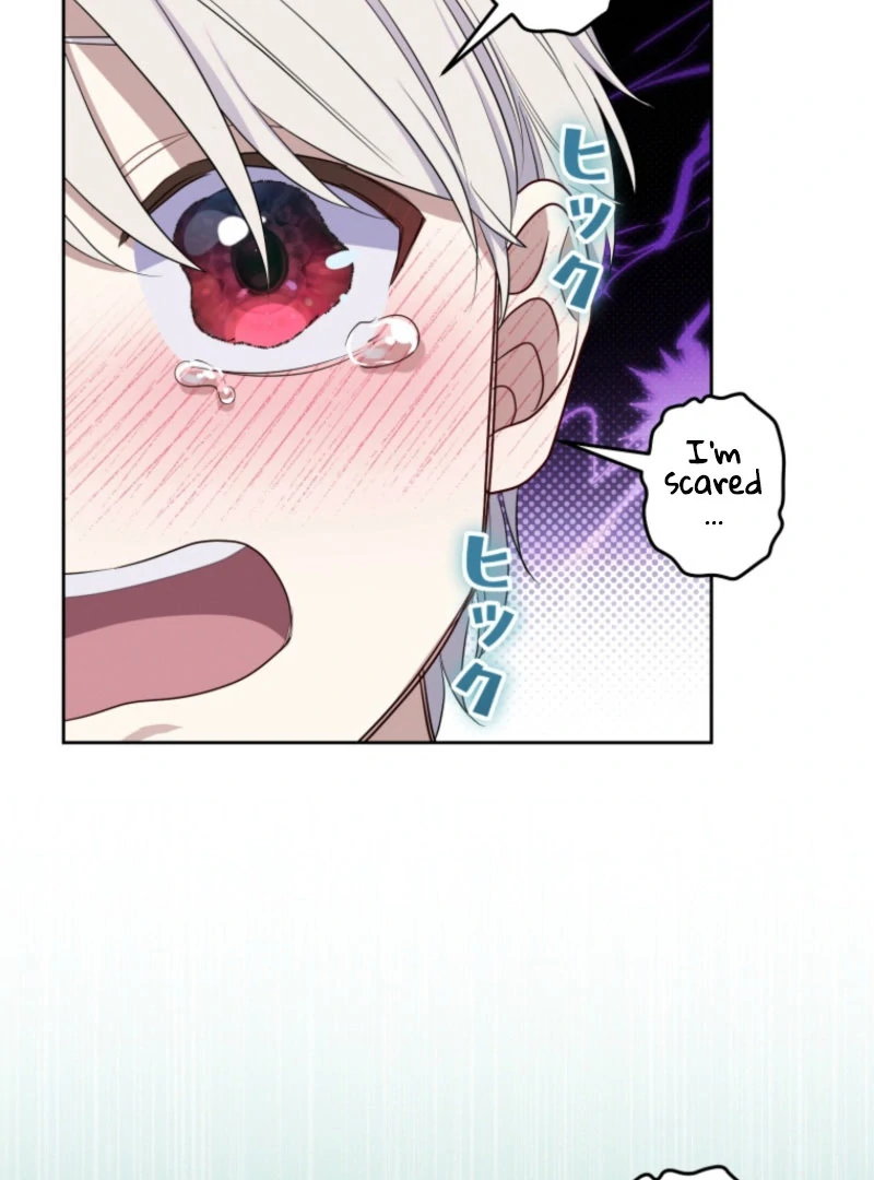 The Grim Reaper Duke’s Obsessive Contract Mother chapter 33 page 29