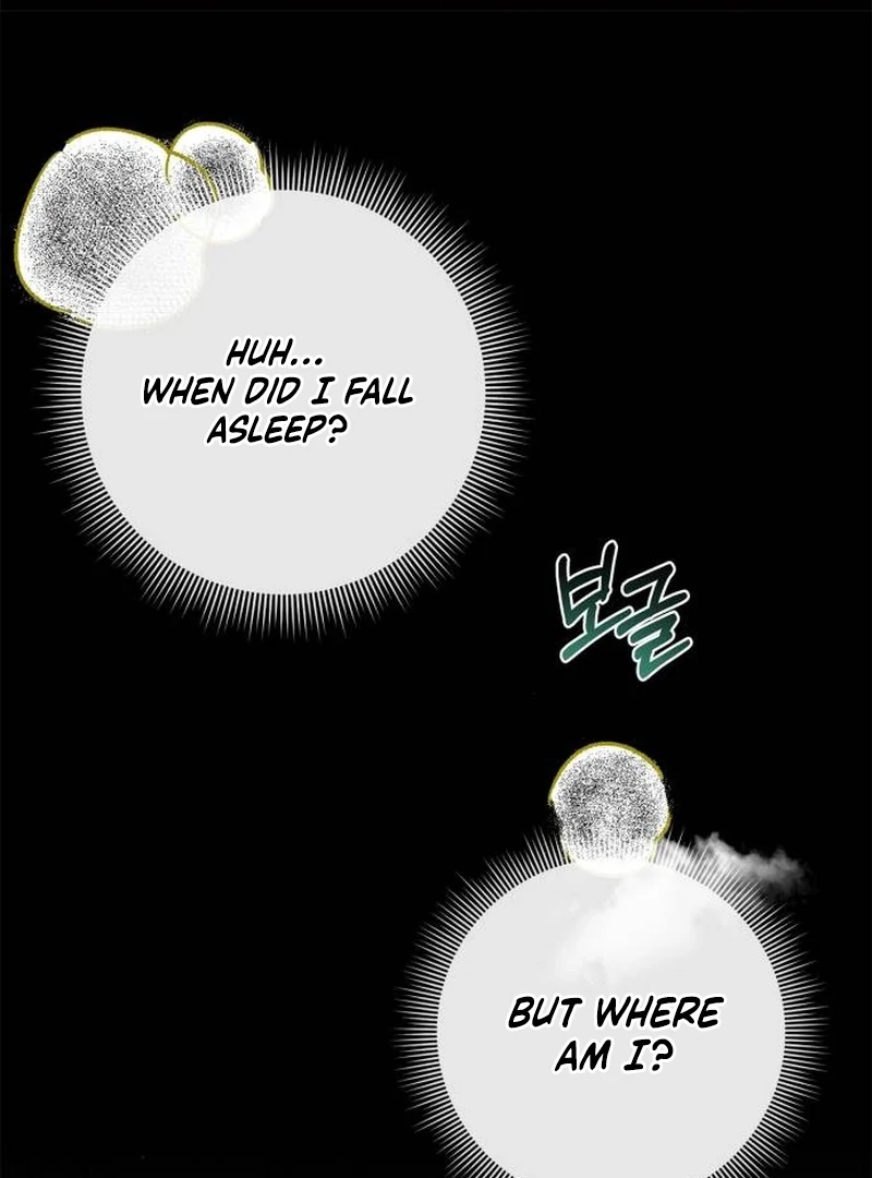 The Swindler Couple of Ardel chapter 11 page 2