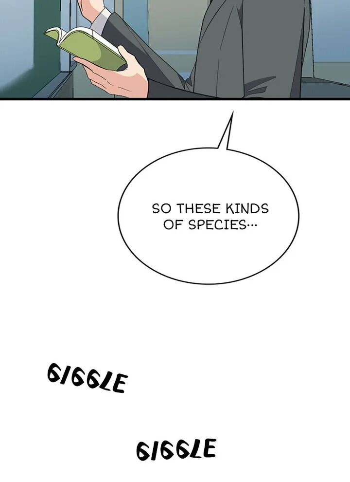 A Butterfly Metamorphoses Three Times chapter 26 page 11