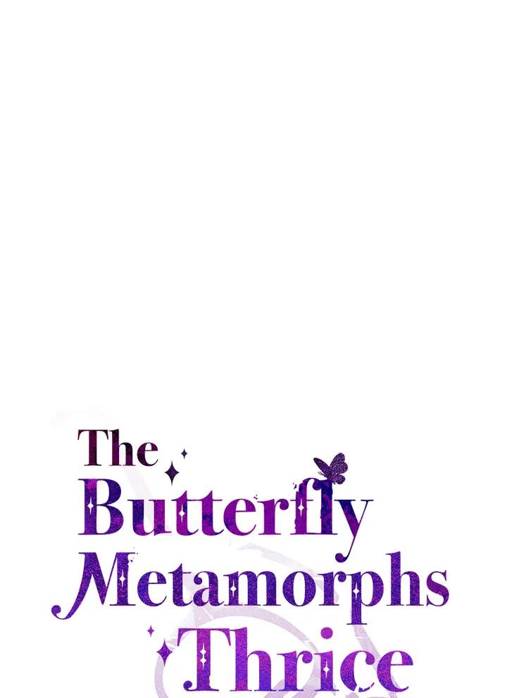 A Butterfly Metamorphoses Three Times chapter 33 page 18
