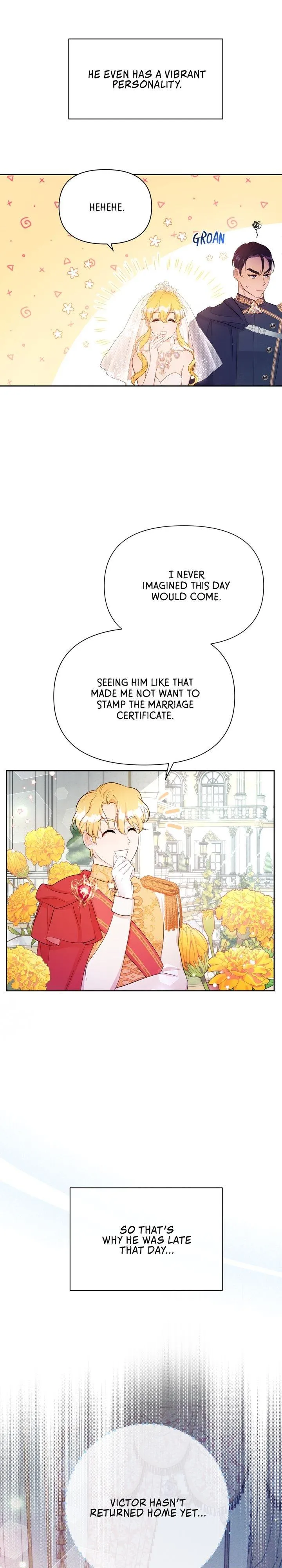 A Deceitful Marriage chapter 27 page 14