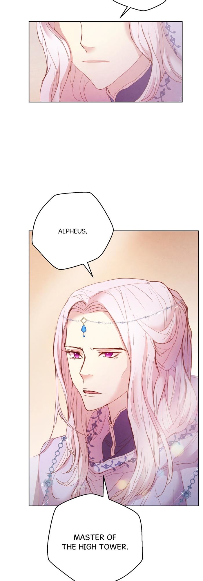 A Fake Princess’s Survival Diary chapter 21.5 page 10