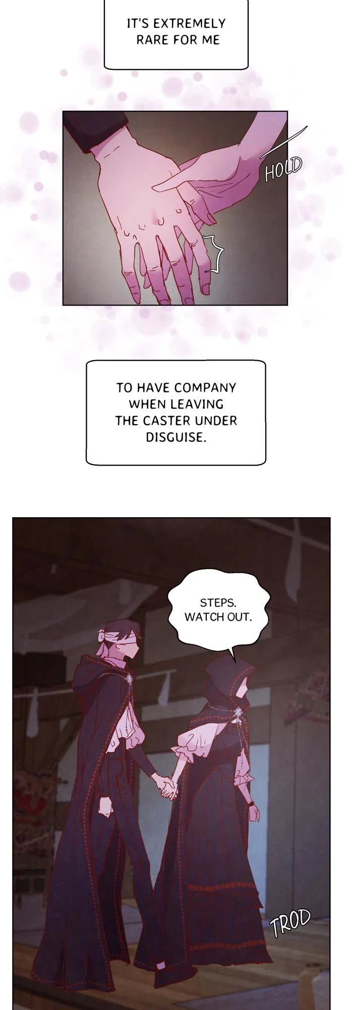 A Fake Princess’s Survival Diary chapter 26.5 page 11