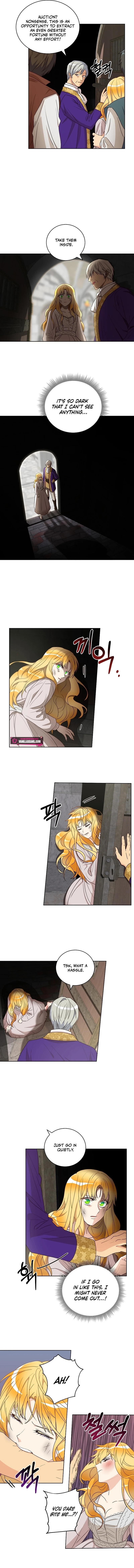 Acidity of Regret chapter 5 page 2