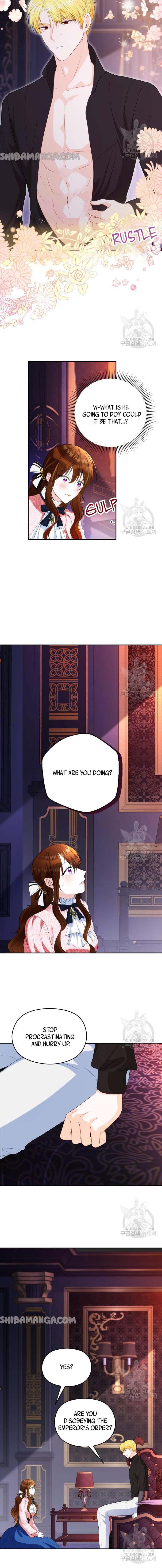 After the Insomnia Was Cured, the Tyrant Became Obsessive chapter 5 page 11