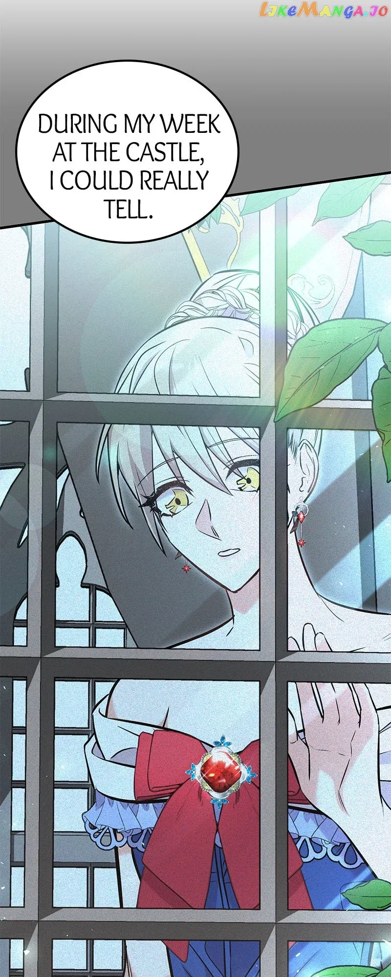 Amelia’s Contract Marriage chapter 28 page 40