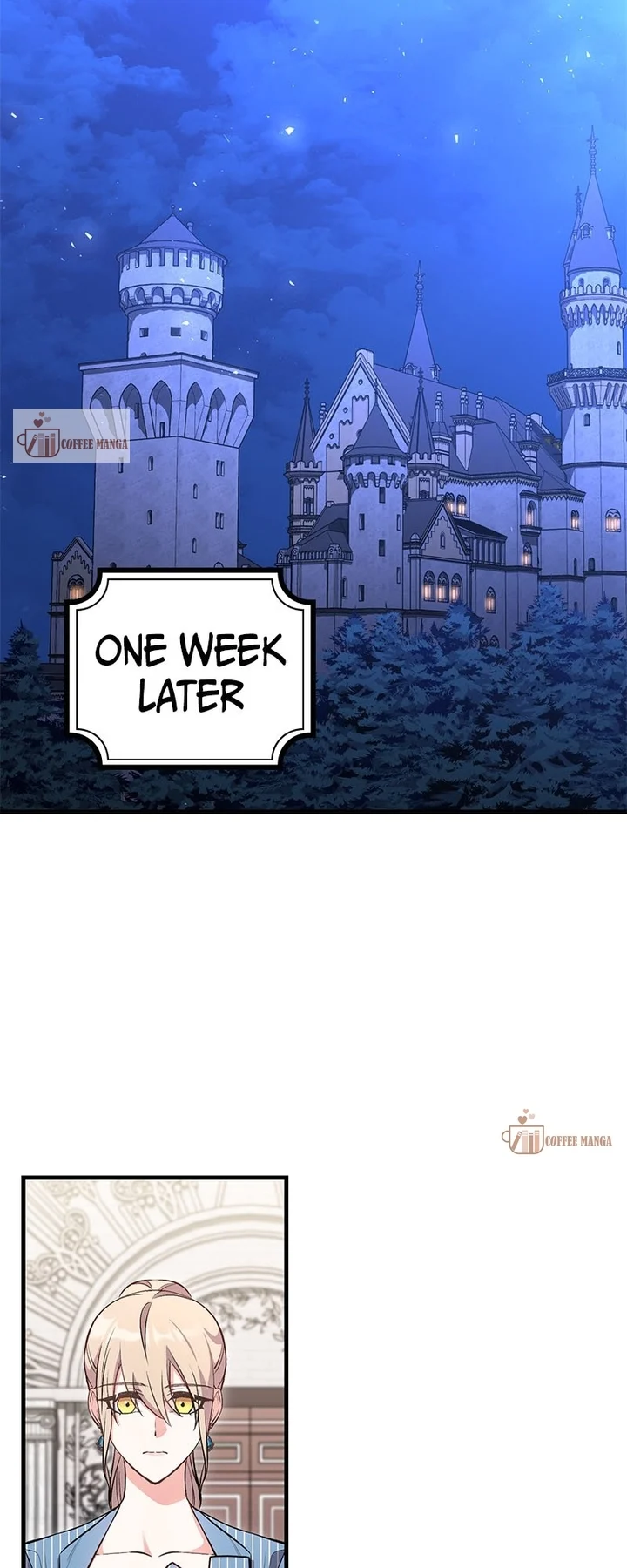 Amelia’s Contract Marriage chapter 40 page 25