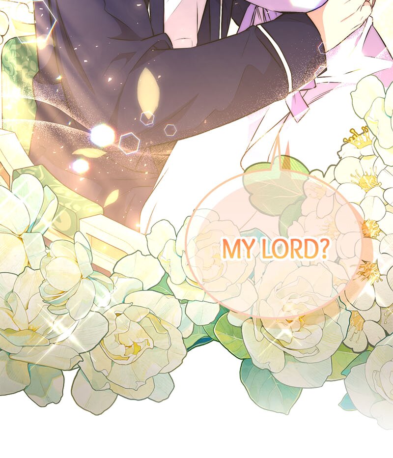 Amelia’s Contract Marriage chapter 49 page 41