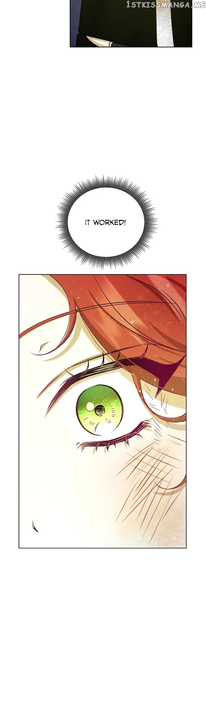 Author, In This Life I’m The Protagonist chapter 4 page 28
