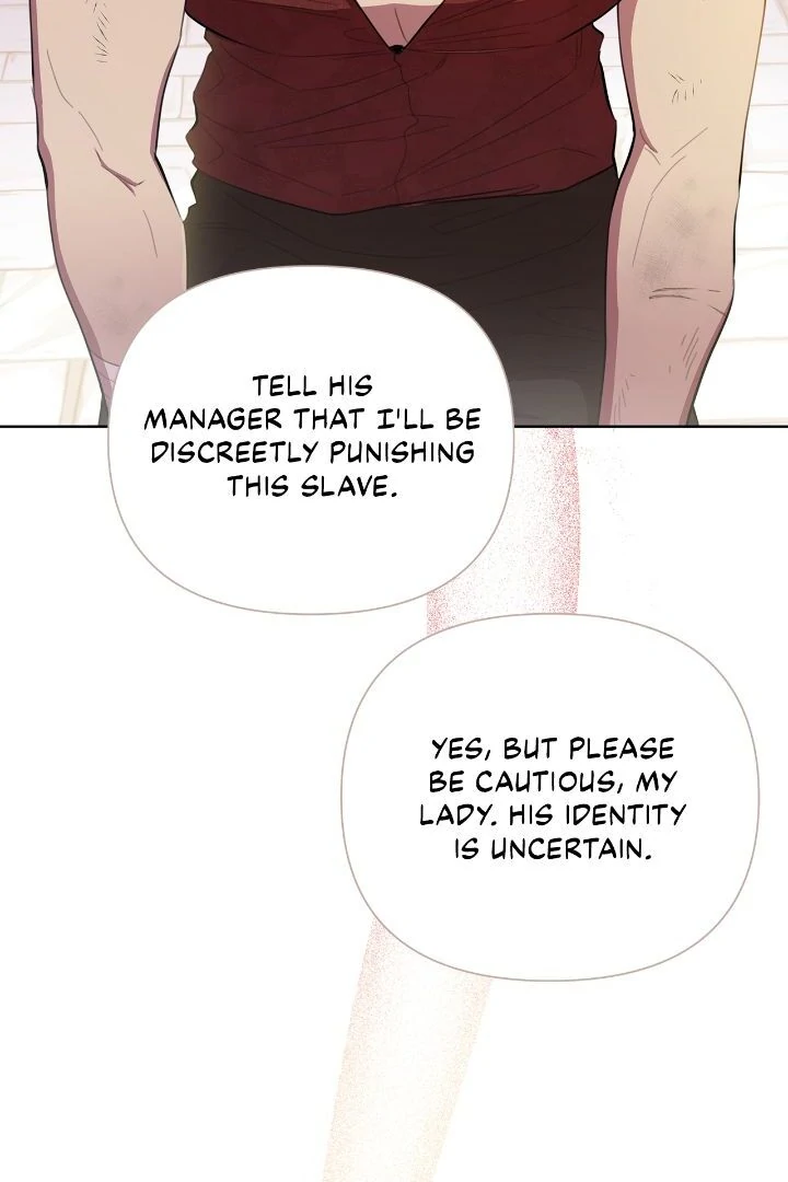 Author, In This Life I’m The Protagonist chapter 41 page 11