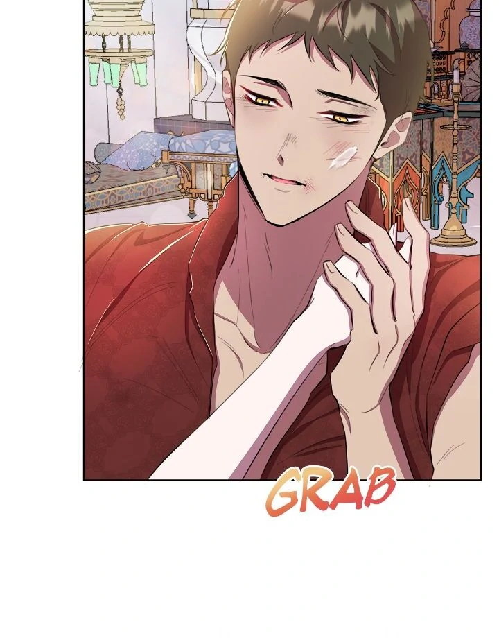 Author, In This Life I’m The Protagonist chapter 41 page 17