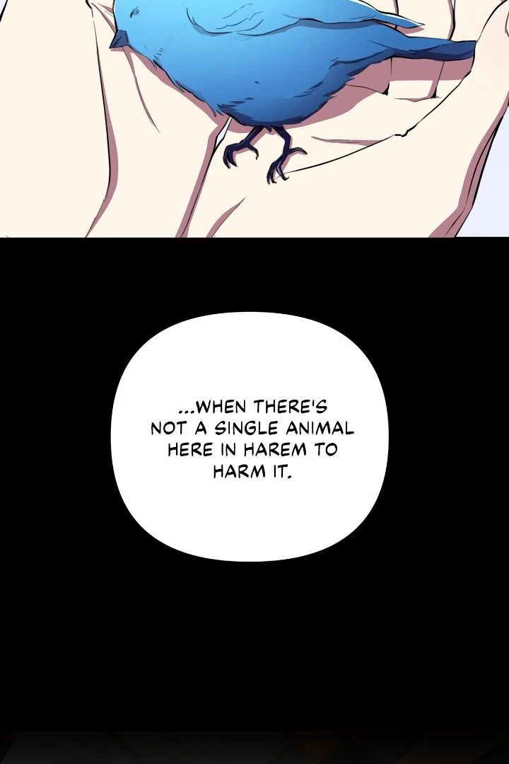 Author, In This Life I’m The Protagonist chapter 44 page 33