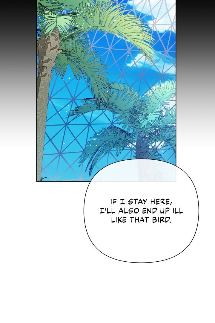 Author, In This Life I’m The Protagonist chapter 44 page 47