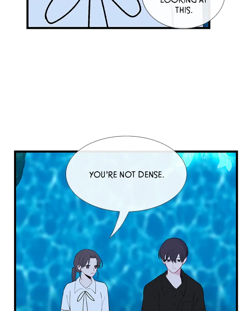 Back to You chapter 48 page 5