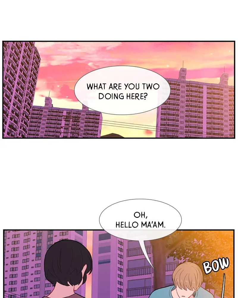 Back to You chapter 50 page 1