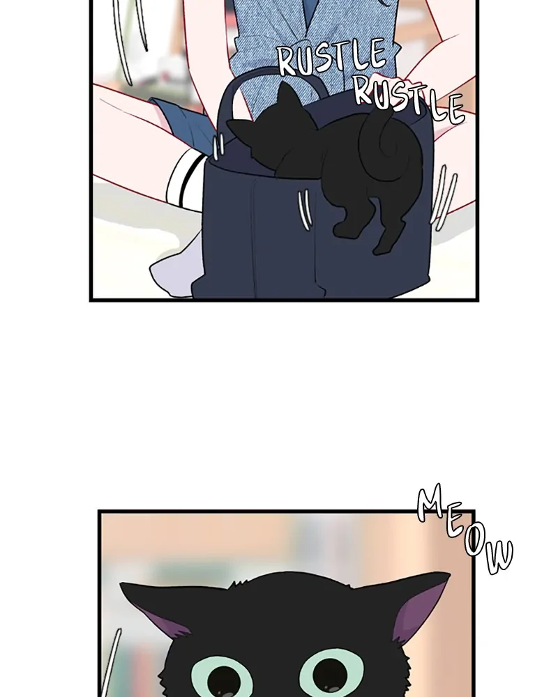 Back to You chapter 52 page 6