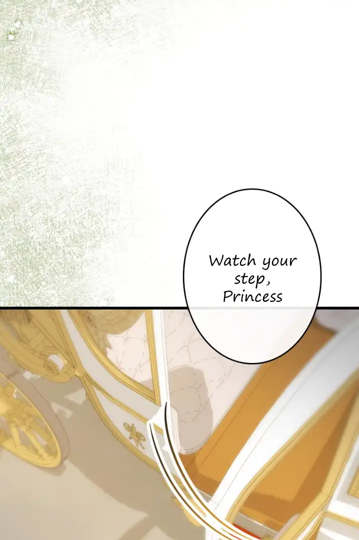 Becoming a Wicked Witch With a Paladin’s First Night chapter 12 page 36