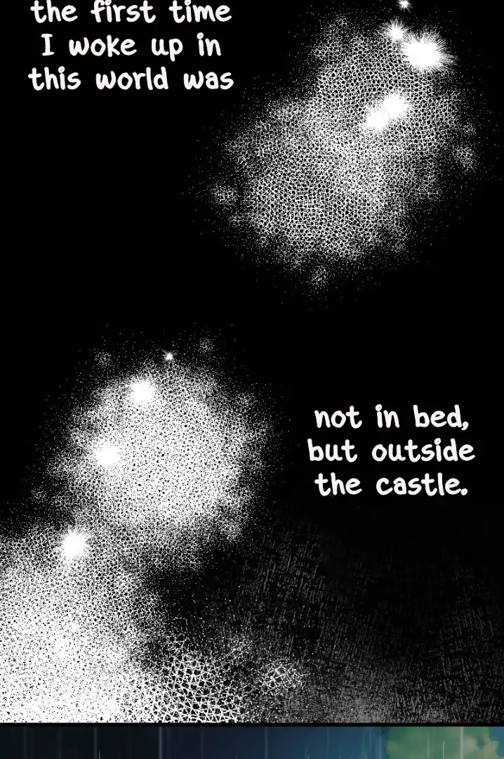 Becoming a Wicked Witch With a Paladin’s First Night chapter 12 page 66