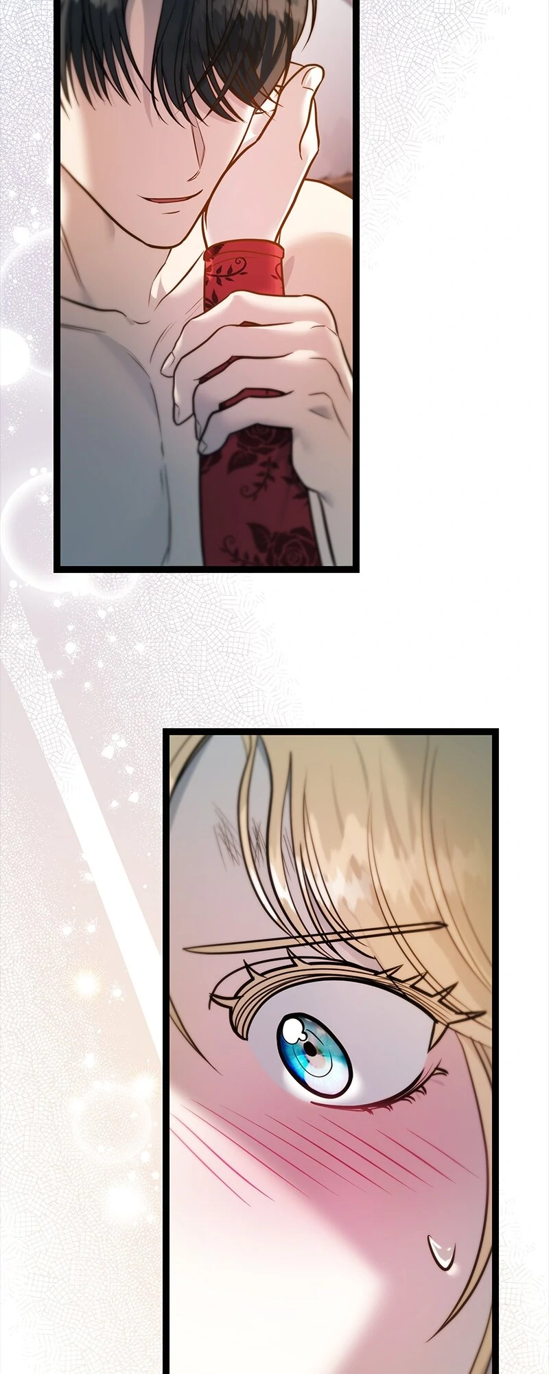 Becoming a Wicked Witch With a Paladin’s First Night chapter 26 page 75