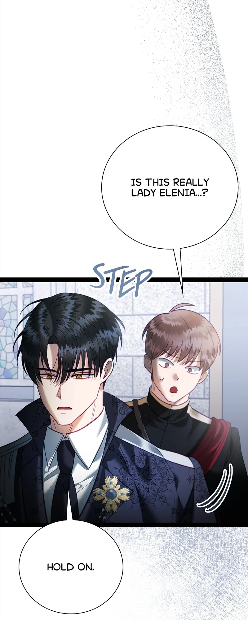 Becoming a Wicked Witch With a Paladin’s First Night chapter 38 page 46