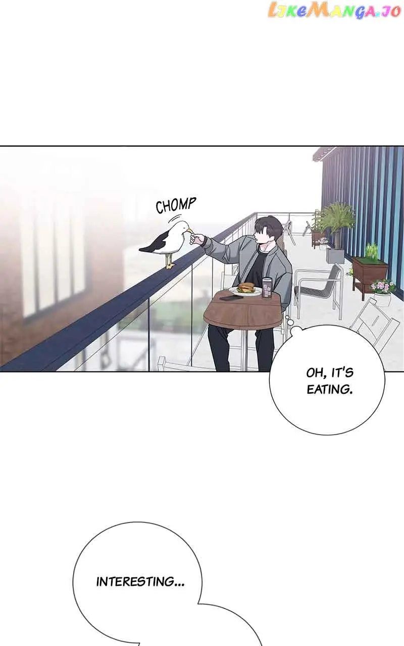 Best Of Luck, Warrior! chapter 83 page 47