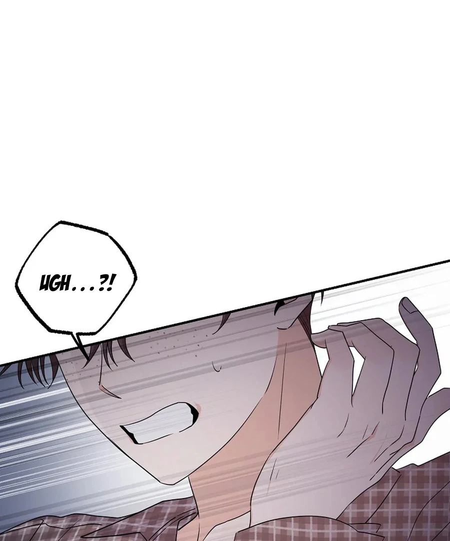 Her Happy Ending Strategy chapter 3 page 14