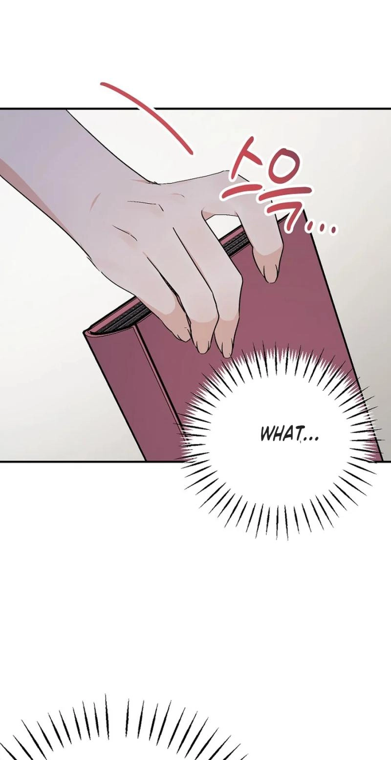 Her Happy Ending Strategy chapter 33 page 82