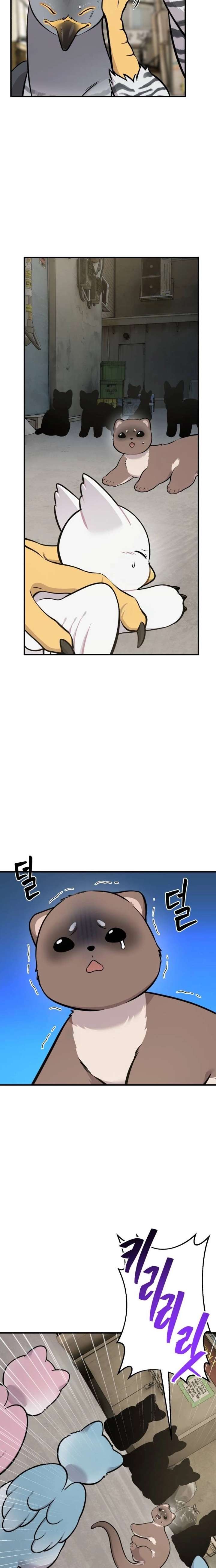 Hello, Griffin the Fluffy Bird! chapter 39 page 9