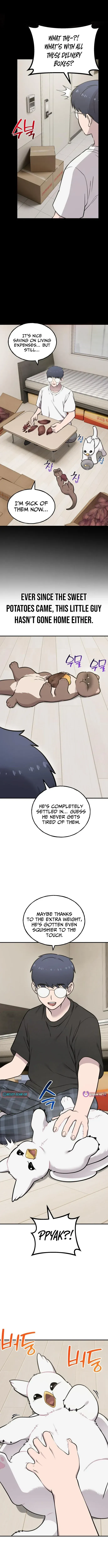 Hello, Griffin the Fluffy Bird! chapter 47 page 9