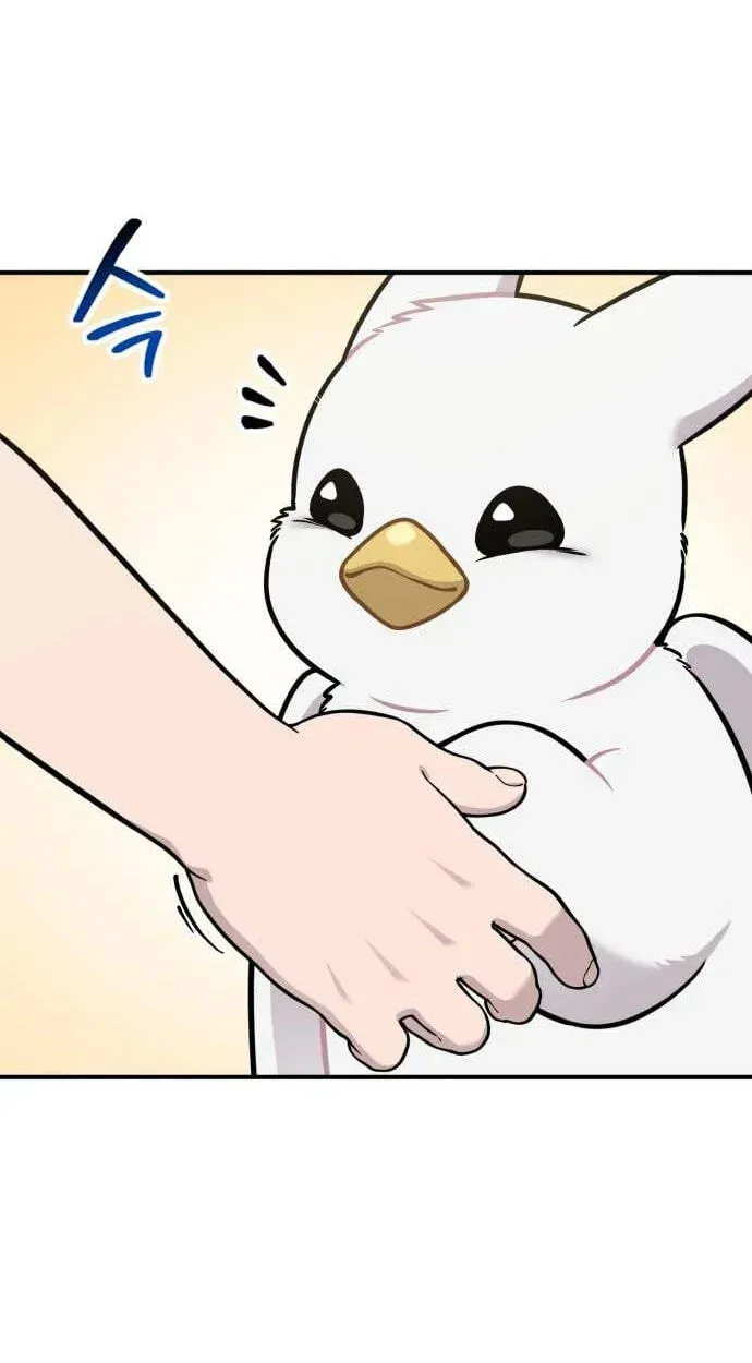 Hello, Griffin the Fluffy Bird! chapter 49 page 47