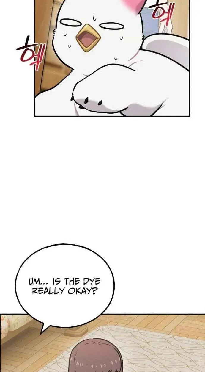 Hello, Griffin the Fluffy Bird! chapter 50 page 12
