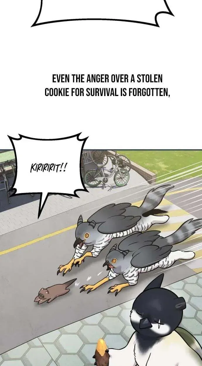 Hello, Griffin the Fluffy Bird! chapter 50 page 93