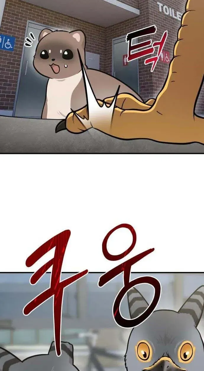 Hello, Griffin the Fluffy Bird! chapter 50 page 88