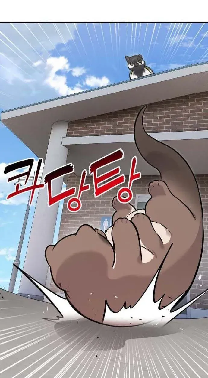 Hello, Griffin the Fluffy Bird! chapter 50 page 84