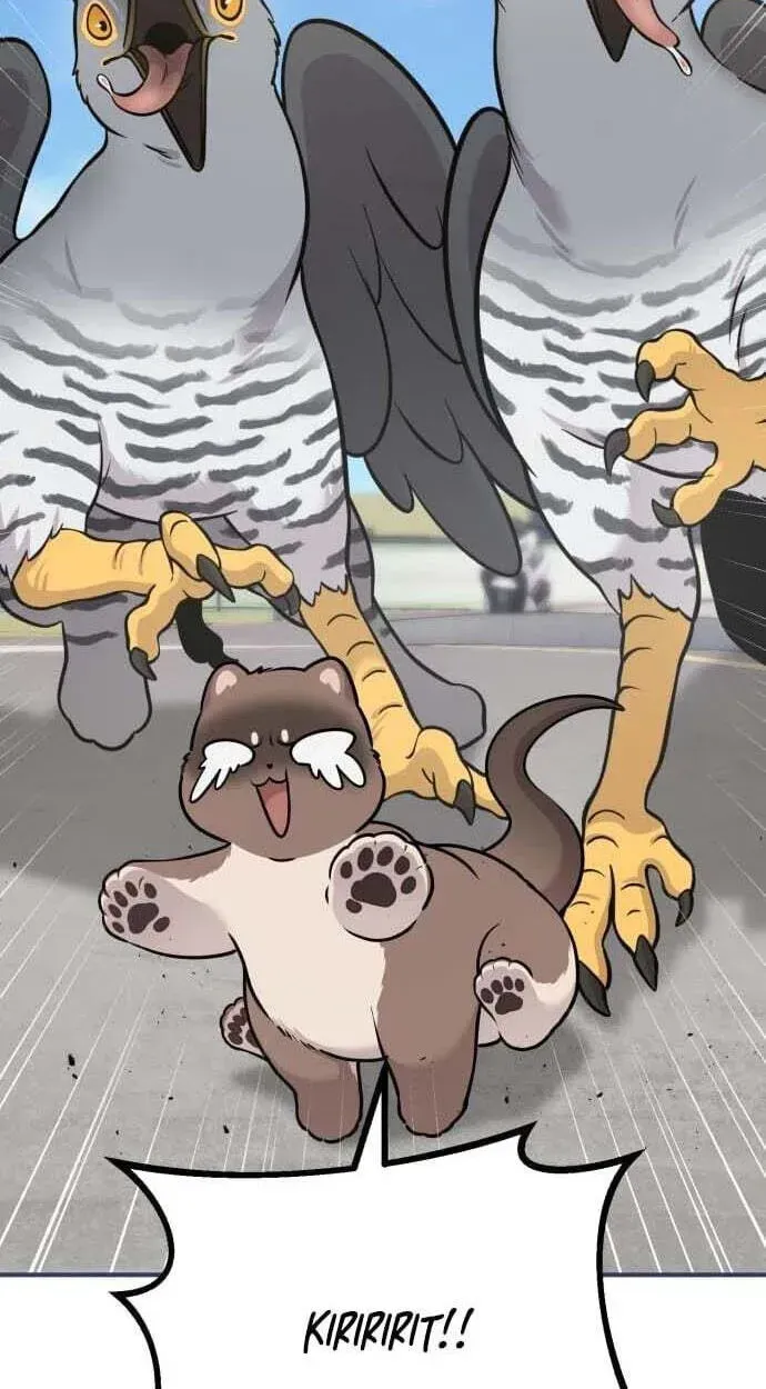 Hello, Griffin the Fluffy Bird! chapter 50 page 92