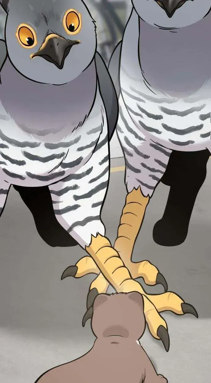 Hello, Griffin the Fluffy Bird! chapter 50 page 89
