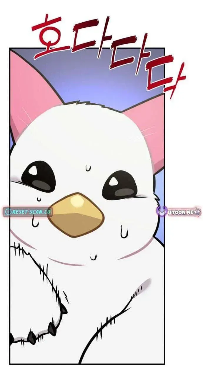 Hello, Griffin the Fluffy Bird! chapter 50 page 3