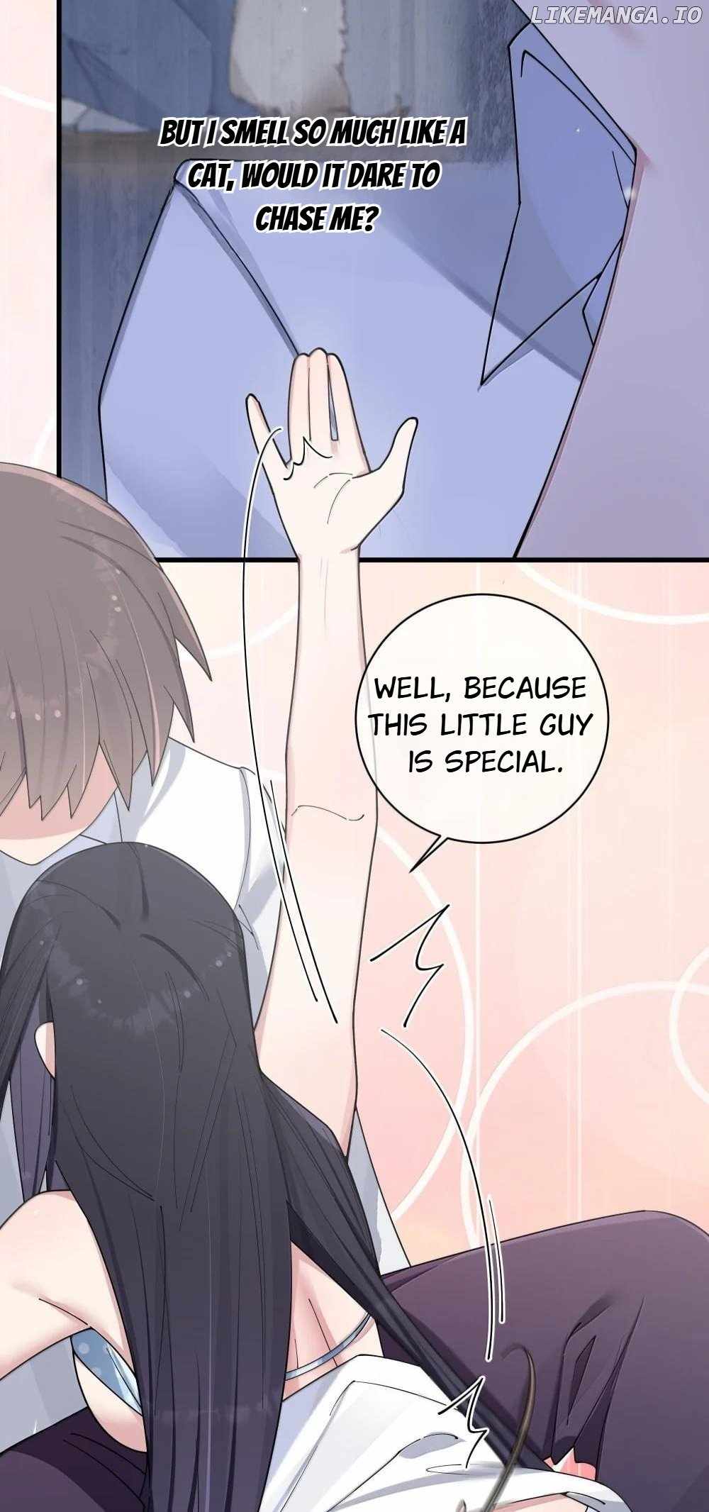 My Fake Girlfriends Are Using Me as a Shield chapter 150 page 20