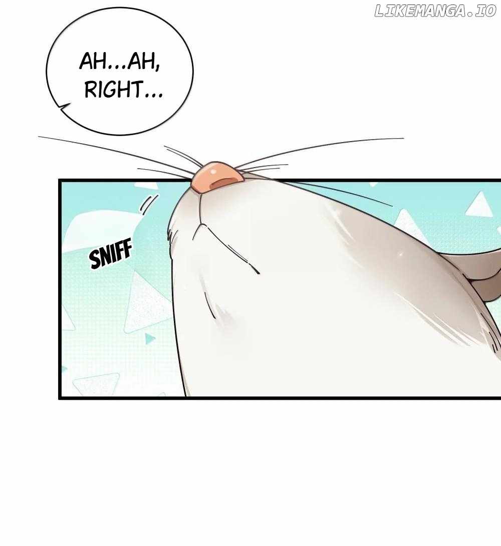 My Fake Girlfriends Are Using Me as a Shield chapter 150 page 9