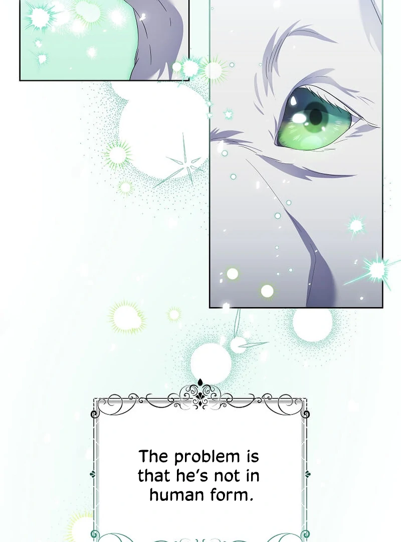In the Grasp of a Loving Yet Possessive Male Lead chapter 13 page 88