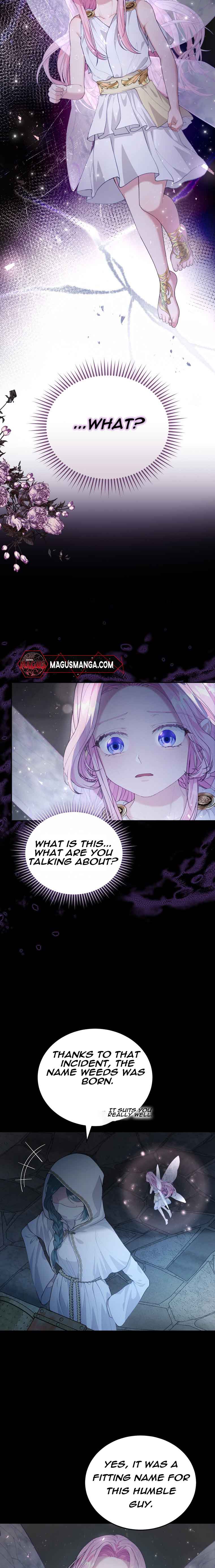 Dear Fairy, Please Contract With Me chapter 7 page 3