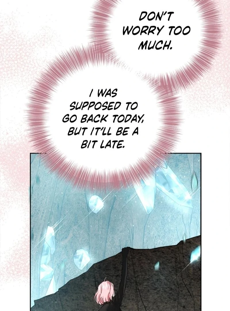 The Princess’s Double Life chapter 121 page 121