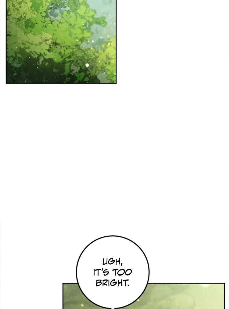 The Princess’s Double Life chapter 122 page 33